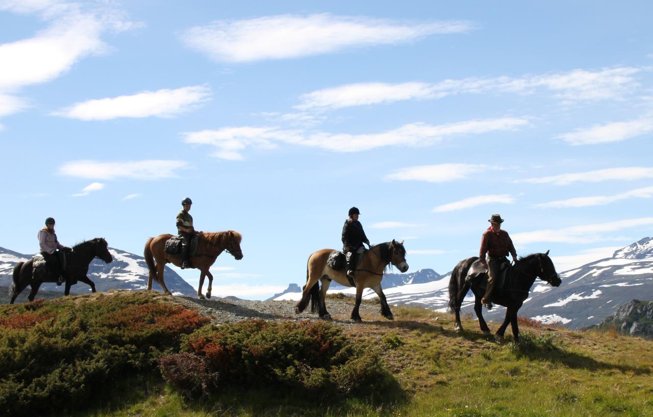 Bygdin Hoyfjellshotell Beitostolen Екстер'єр фото
