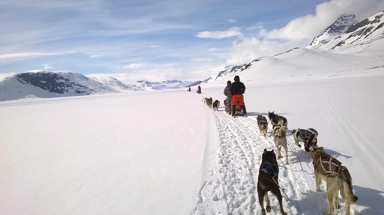 Bygdin Hoyfjellshotell Beitostolen Екстер'єр фото